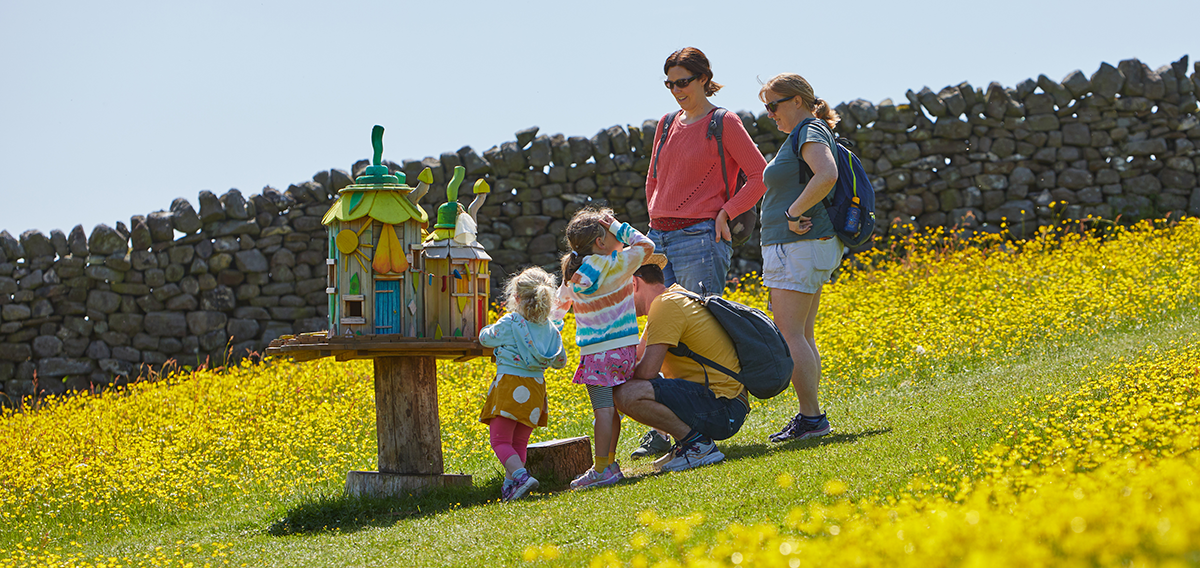Discovering Studfold&rsquo;s fairy houses