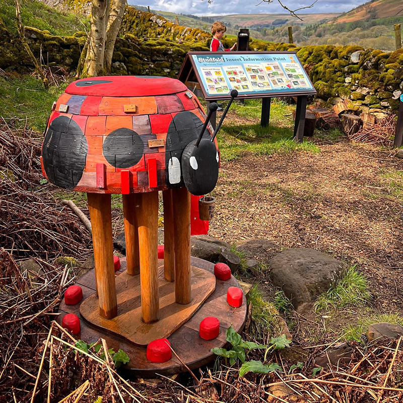 Studfold Fairy House