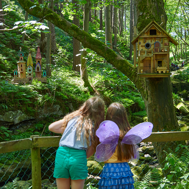 Fairy Houses at Studfold Adventure Trail
