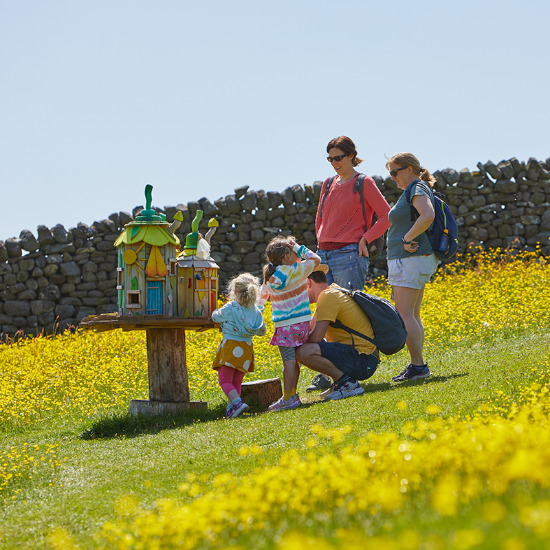 Studfold Adventure Trail