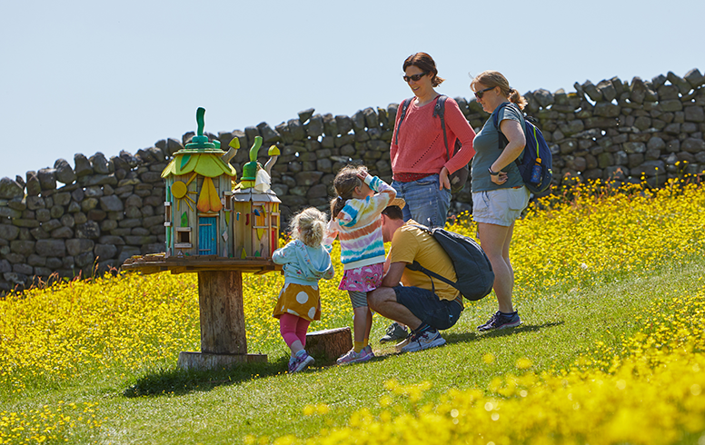 Adventure Trail open every day throughout the summer