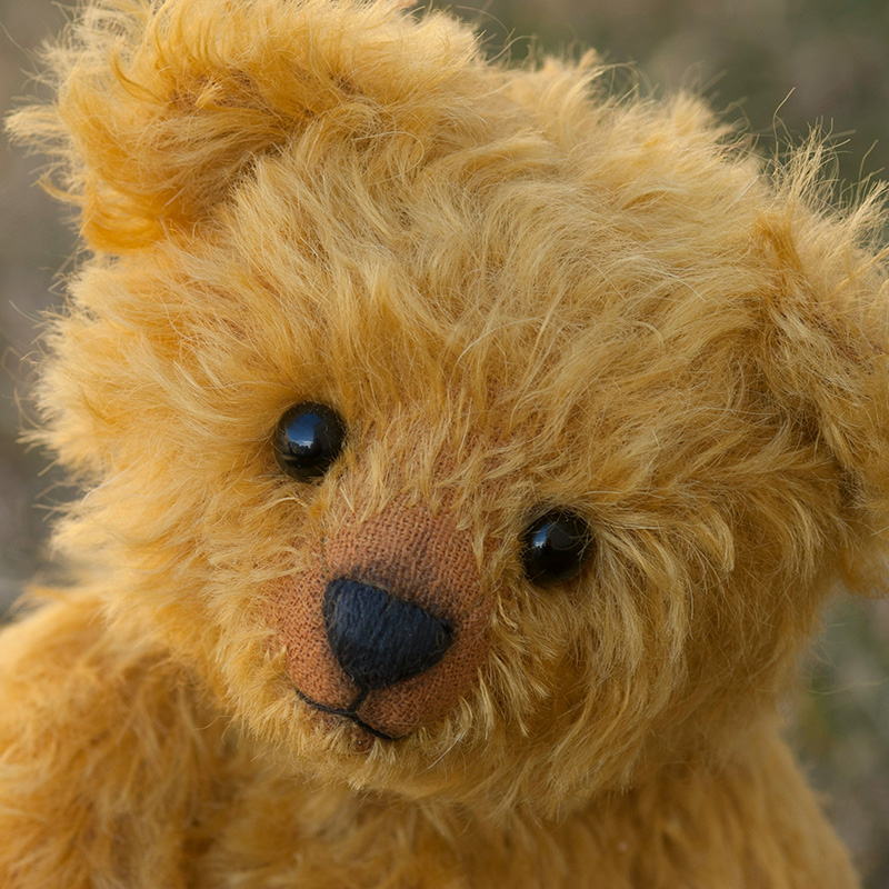 Studfold Teddy Bears’ Picnic
