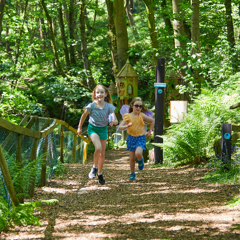 Running in the Studfold Woods