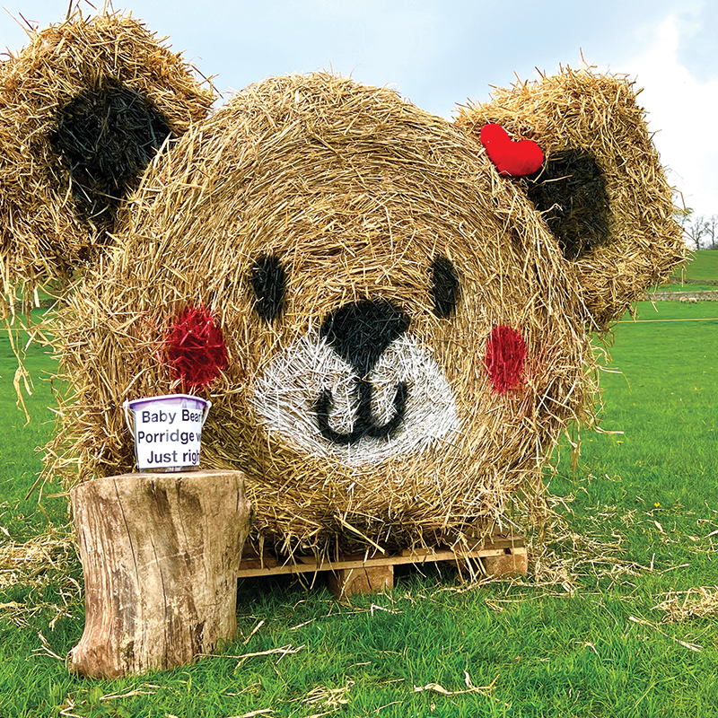 Studfold Teddy Bears Picnic